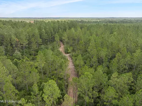 Herman Ladner Road, Saucier, MS 39574 photo 9