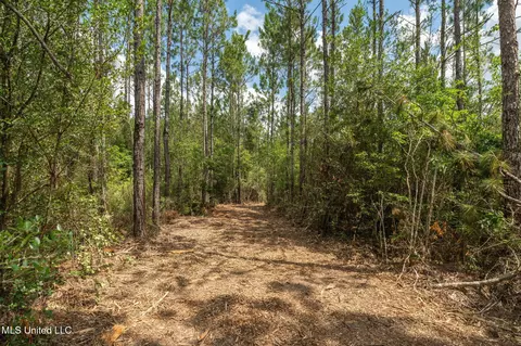Herman Ladner Road, Saucier, MS 39574 photo 6