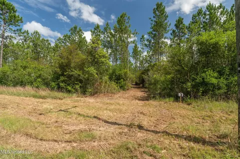 Herman Ladner Road, Saucier, MS 39574 photo 4