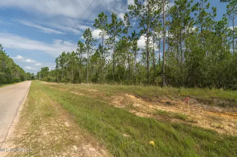 Herman Ladner Road, Saucier, MS 39574 photo 3