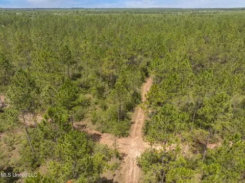 Herman Ladner Road, Saucier, MS 39574 photo 7