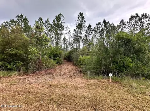 Herman Ladner Road, Saucier, MS 39574 photo 11