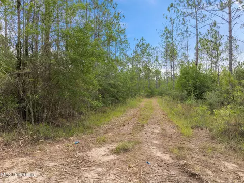 Herman Ladner Road, Saucier, MS 39574 photo 8