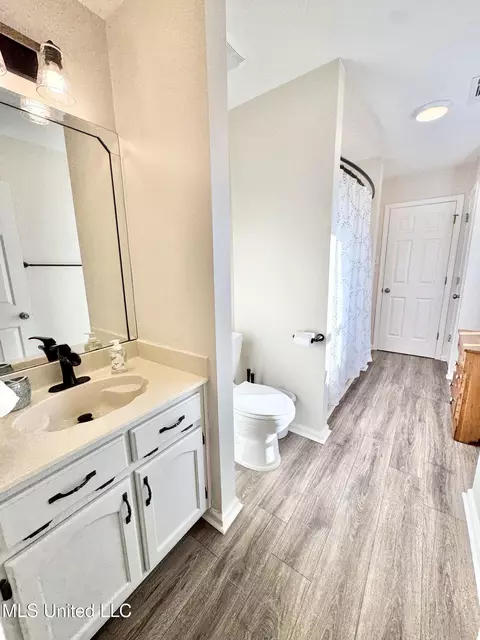 Bath - 2640 Hickory Hill Dr, Nesbit, MS 38651 photo 5 of 5
