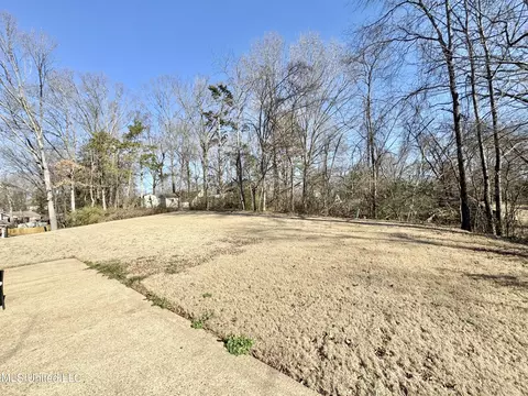 Exterior - 2640 Hickory Hill Dr, Nesbit, MS 38651 photo 7 of 7