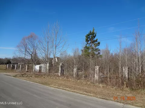 Beechtree Ln, Byhalia, MS 38611 photo 8