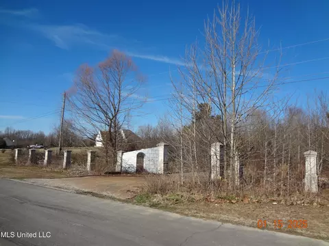 Beechtree Ln, Byhalia, MS 38611 photo 5