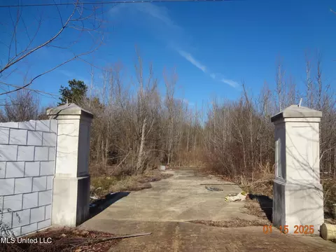Beechtree Ln, Byhalia, MS 38611 photo 4
