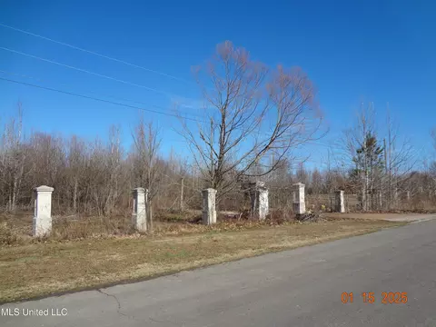 Beechtree Ln, Byhalia, MS 38611 photo 2