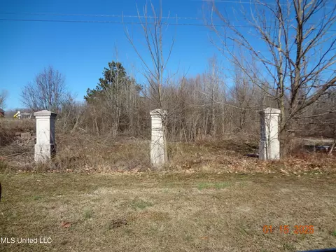 Beechtree Ln, Byhalia, MS 38611 photo 7