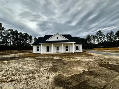 Exterior - 26600 Billy Hinton Rd, Lucedale, MS 39452 photo 3 of 7