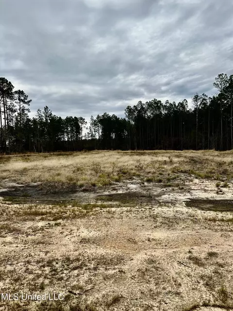 Other - 26600 Billy Hinton Rd, Lucedale, MS 39452 photo 2 of 4