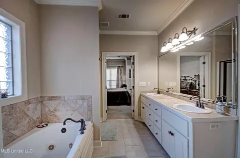 Bath - 508 Lorraine Ct, Brandon, MS 39042 photo 1 of 3