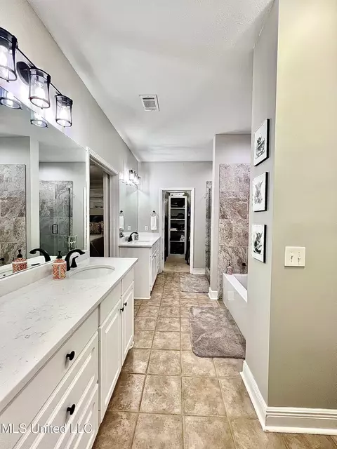 Bath - 207 Copper Ridge Way, Florence, MS 39073 photo 6 of 9