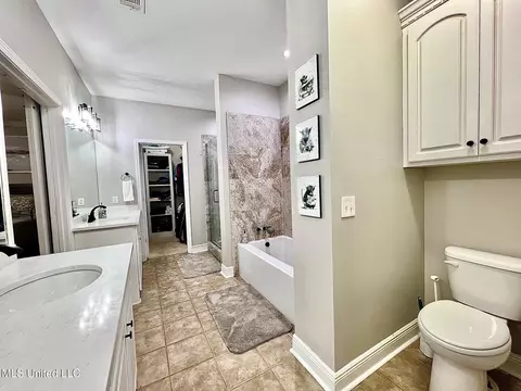 Bath - 207 Copper Ridge Way, Florence, MS 39073 photo 7 of 9
