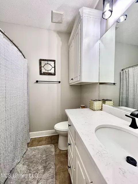 Bath - 207 Copper Ridge Way, Florence, MS 39073 photo 8 of 9