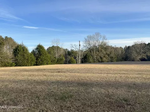 Exterior - 304 Williams Rd, Florence, MS 39073 photo 6 of 28