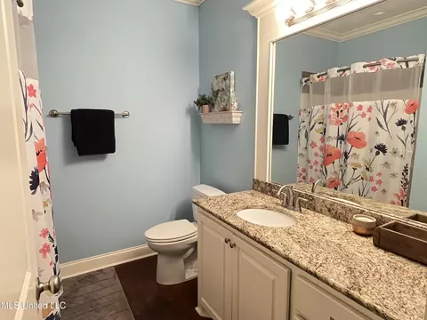 Bath - 304 Williams Rd, Florence, MS 39073 photo 6 of 9