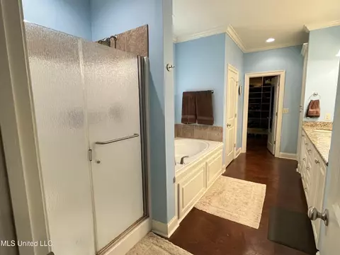 Bath - 304 Williams Rd, Florence, MS 39073 photo 1 of 9