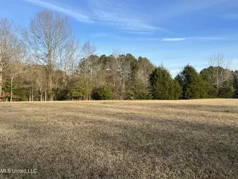 Exterior - 304 Williams Rd, Florence, MS 39073 photo 5 of 28