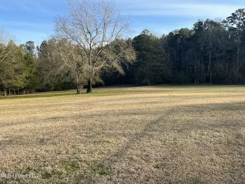 Exterior - 304 Williams Rd, Florence, MS 39073 photo 14 of 28