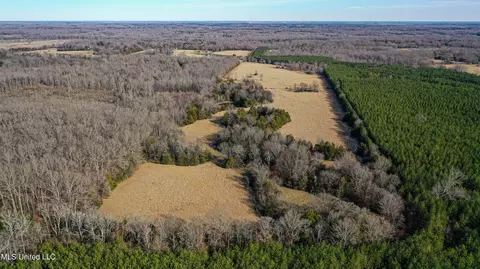 01 Mcallister Rd, Amory, MS 38821 photo 18