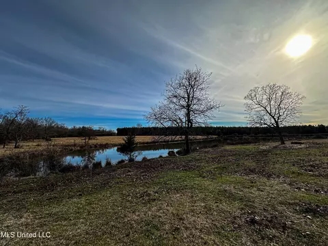 01 Mcallister Rd, Amory, MS 38821 photo 33