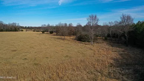 01 Mcallister Rd, Amory, MS 38821 photo 29