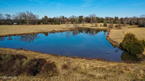 01 Mcallister Rd, Amory, MS 38821 photo 26