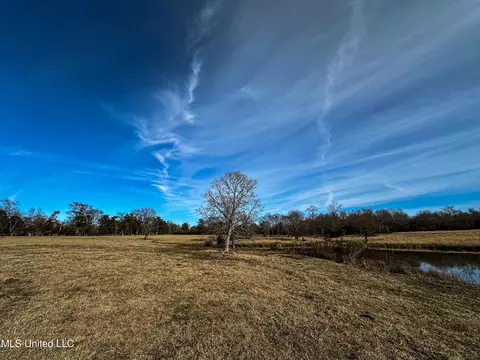 01 Mcallister Rd, Amory, MS 38821 photo 35