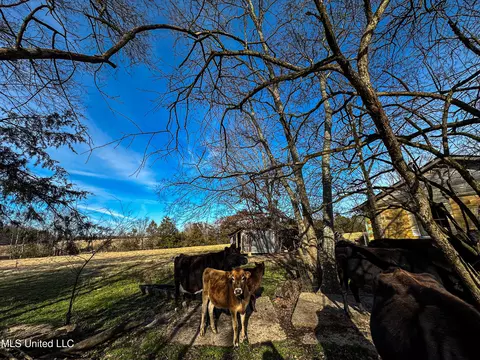 01 Mcallister Rd, Amory, MS 38821 photo 7