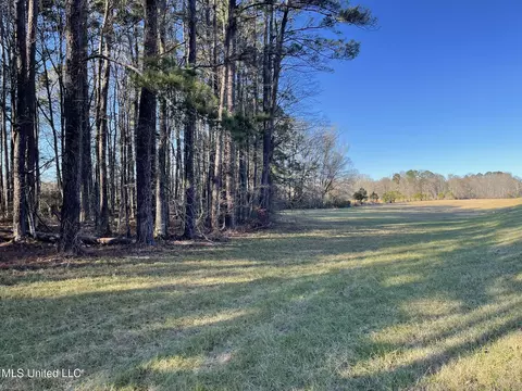 Ms-43, Kosciusko, MS 39090 photo 10