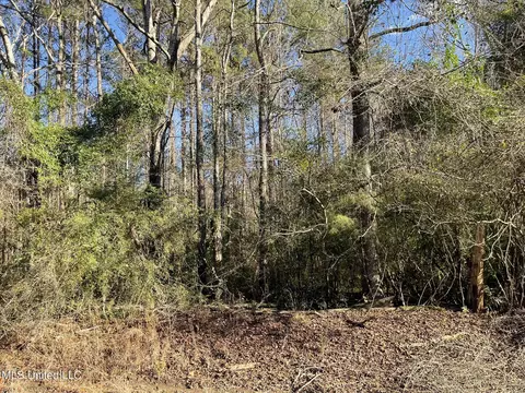 Ms-43, Kosciusko, MS 39090 photo 5