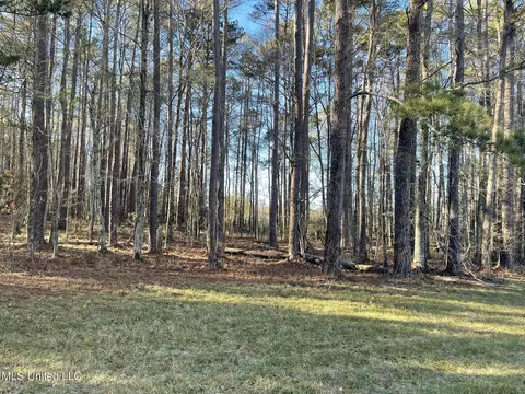 Ms-43, Kosciusko, MS 39090 photo 11