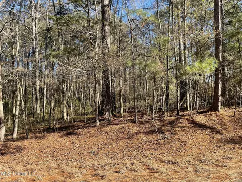 Ms-43, Kosciusko, MS 39090 photo 6