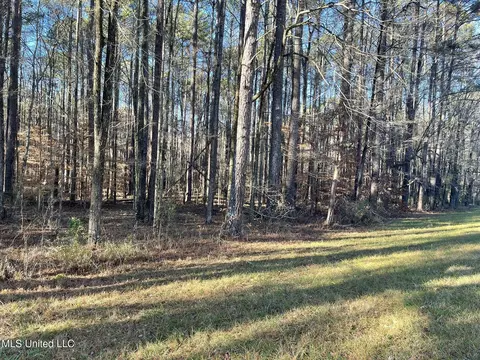 Ms-43, Kosciusko, MS 39090 photo 9