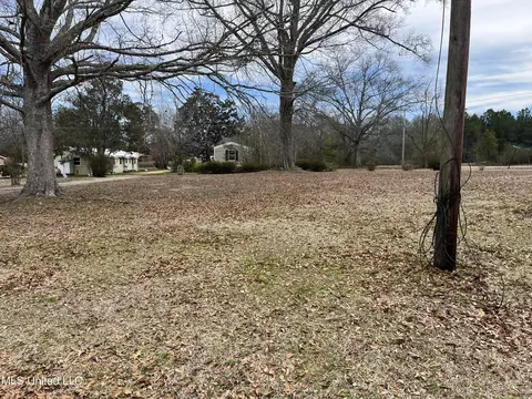 31 Webster Ave, Carson, MS 39427 photo 9