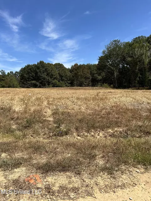 14 Pebble View Dr, Byhalia, MS 38611