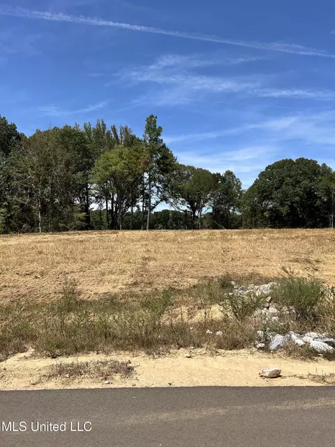 18 Pebble View Cv, Byhalia, MS 38611