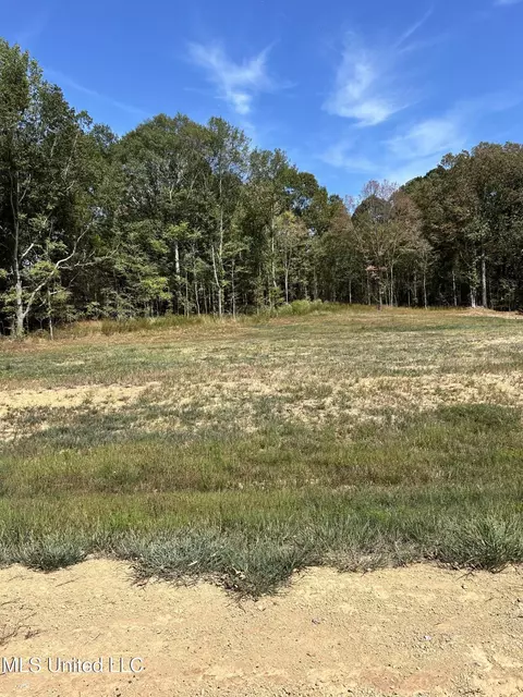 20 Pebble View Dr, Byhalia, MS 38611