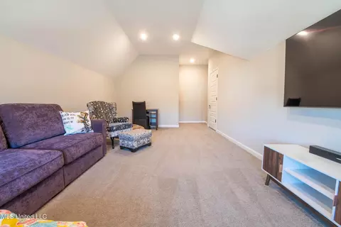 7302 Archer Ln, Olive Branch, MS 38654 photo 24