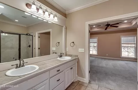Bath - 805 Terrapin Ln, Brandon, MS 39047 photo 2 of 7