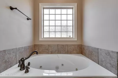 Bath - 805 Terrapin Ln, Brandon, MS 39047 photo 3 of 7