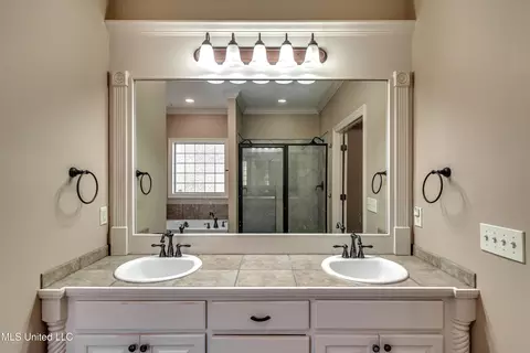 Bath - 805 Terrapin Ln, Brandon, MS 39047 photo 7 of 7