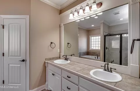 Bath - 805 Terrapin Ln, Brandon, MS 39047 photo 1 of 7