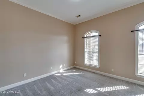 Other - 805 Terrapin Ln, Brandon, MS 39047 photo 10 of 10