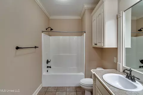Bath - 805 Terrapin Ln, Brandon, MS 39047 photo 5 of 7