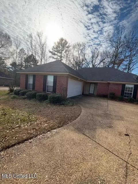 Other - 343 Sunny Brook Ct, Terry, MS 39170 photo 4 of 9