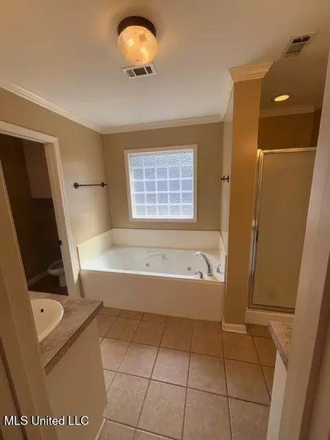 Bath - 343 Sunny Brook Ct, Terry, MS 39170 photo 1 of 2