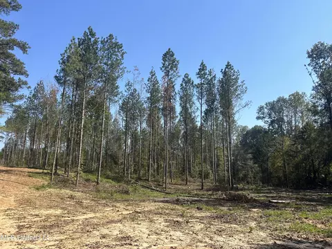 Knight Road, Georgetown, MS 39078 photo 5